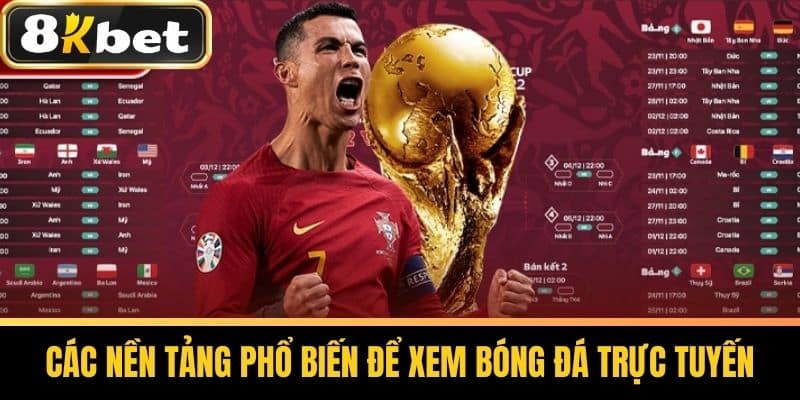 Các nền tảng phổ biến để xem bóng đá trực tuyến