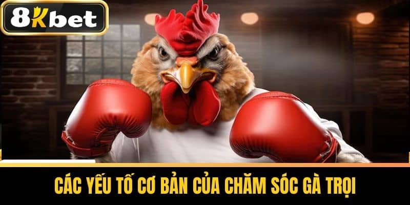 Các yếu tố cơ bản của chăm sóc gà trọi