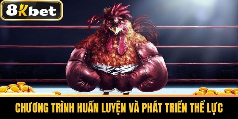 Chương trình huấn luyện và phát triển thể lực