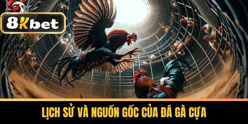 Lịch sử và nguồn gốc của đá gà cựa