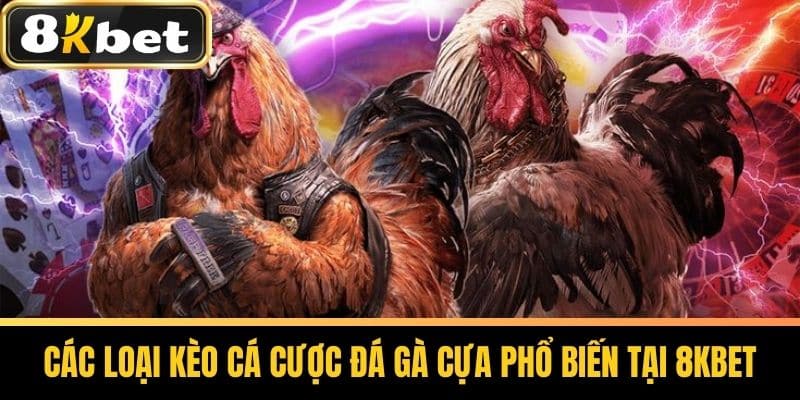 Các loại kèo cá cược đá gà cựa phổ biến tại 8KBET