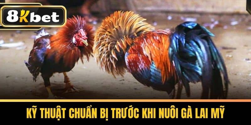 Kỹ Thuật Chuẩn Bị Trước Khi Nuôi Gà Lai Mỹ