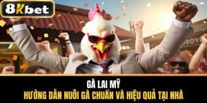 Gà Lai Mỹ - Hướng Dẫn Nuôi Gà Chuẩn Và Hiệu Quả Tại Nhà