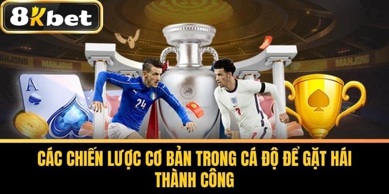 Các Chiến Lược Cơ Bản Trong Cá Độ Để Gặt Hái Thành Công