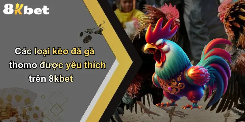 Các loại kèo đá gà thomo được yêu thích trên 8kbet