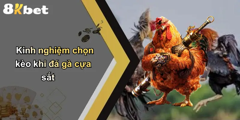 Kinh nghiệm chọn kèo khi đá gà cựa sắt
