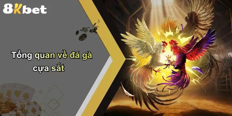 Tổng quan về đá gà cựa sắt